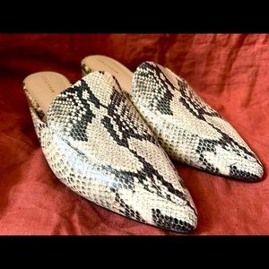 EUC Cole Haan Piper Mule Loafer Slip-Ons Snakeskin Sz. 8.5W